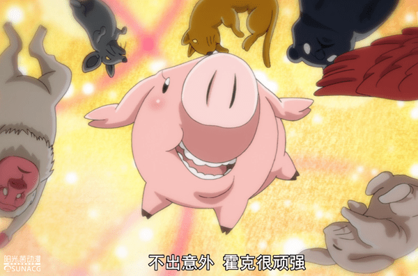 愤怒的审判:萌猪霍克身世曝光,从吉祥物一跃成为地表最强生物!
