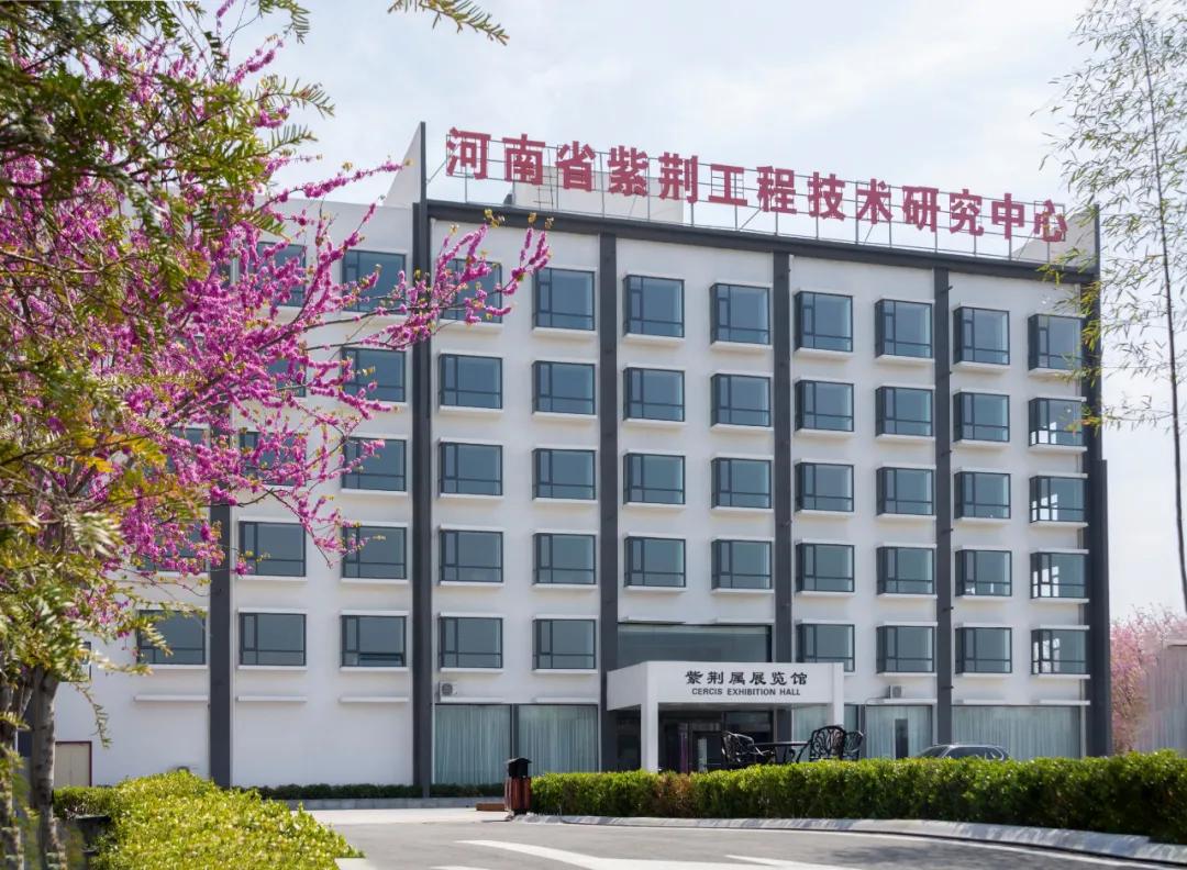 河南省文化产业经济总量_河南省地图(3)