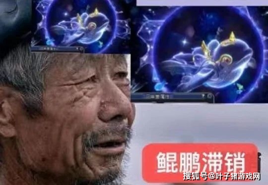 梦幻西游|梦幻西游：全服第一只10万元神兽超级鲲鹏 秒宝宝最低两位数