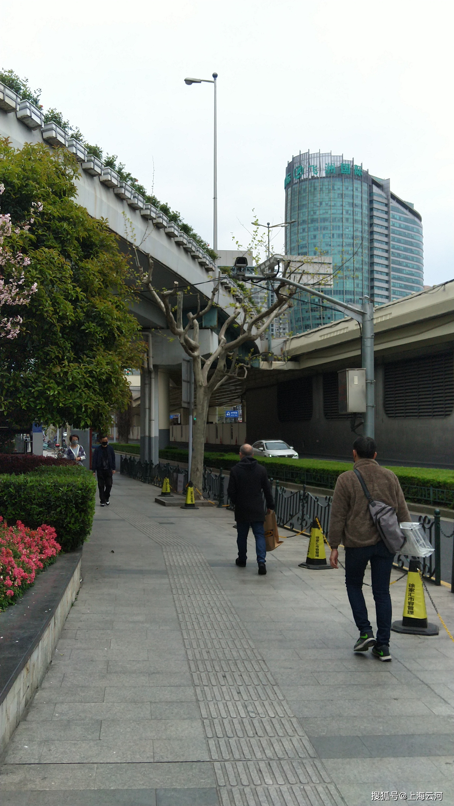 上海漕溪北路街头的春天景色2