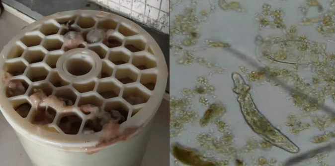 看这里带你了解反渗透膜微生物污染及其防控