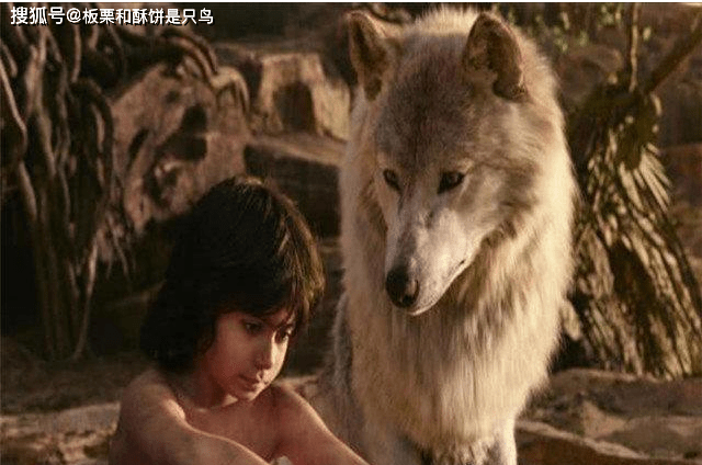 ea34483087ff4a3ea5e17a8180ef1bdb.png