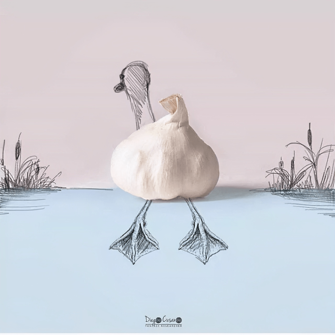 奇思妙想,创意十足!