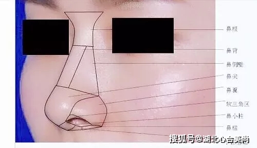3d283cad5c8e454fabd757055cb5bd16.jpeg