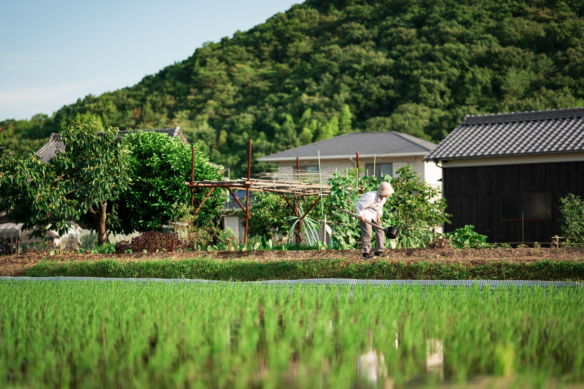 孤独的日本农村：废弃的无主房屋越来越多，欲靠旅游业留下年轻人