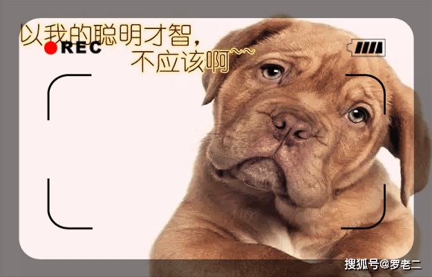 事死如事生是什么意思啊 9d140919dca14b119137832527320874.png