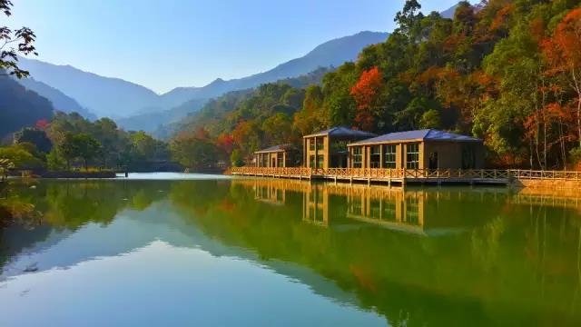 粤港澳大湾区旅游_板九寨！只去一次，就令人念念不忘_大湾网