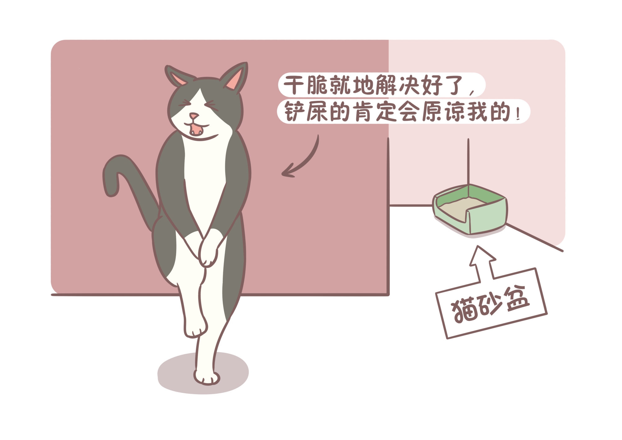 猫咪乱拉乱尿?可能不是心情不好,还有可能是生病了