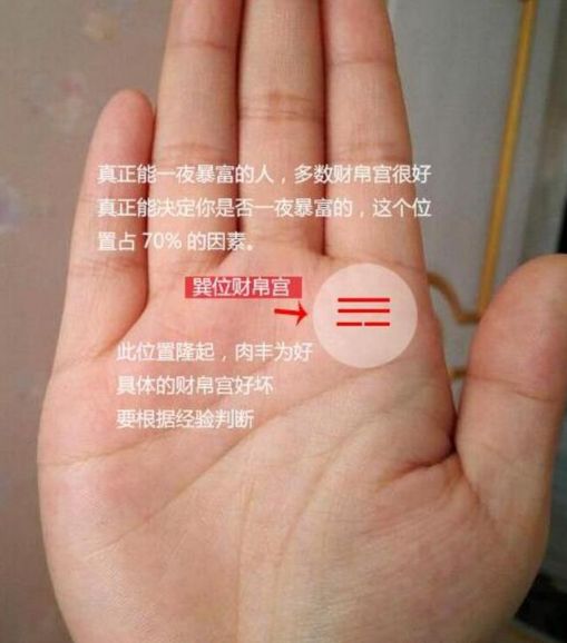这类手相的人财气逼人注定能成大器