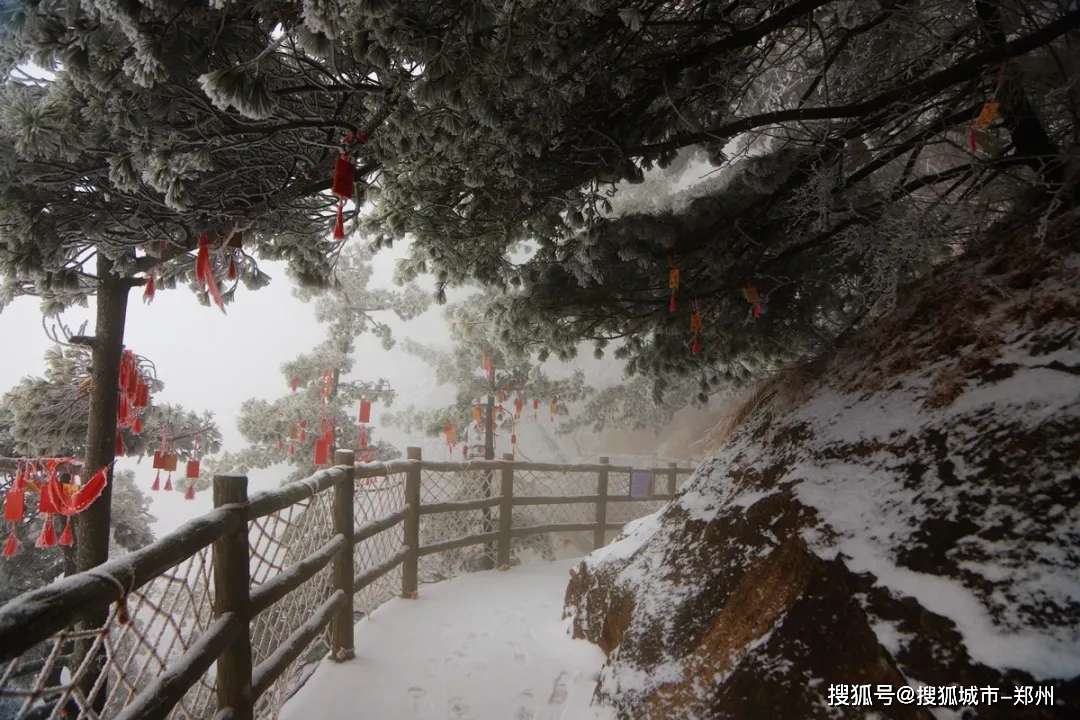 雪后的老君山惊艳了整个冬天