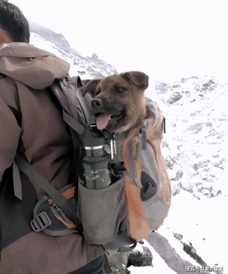 原创西藏冒险王死亡调查反转3个疑点被证实与小左有直接的关系