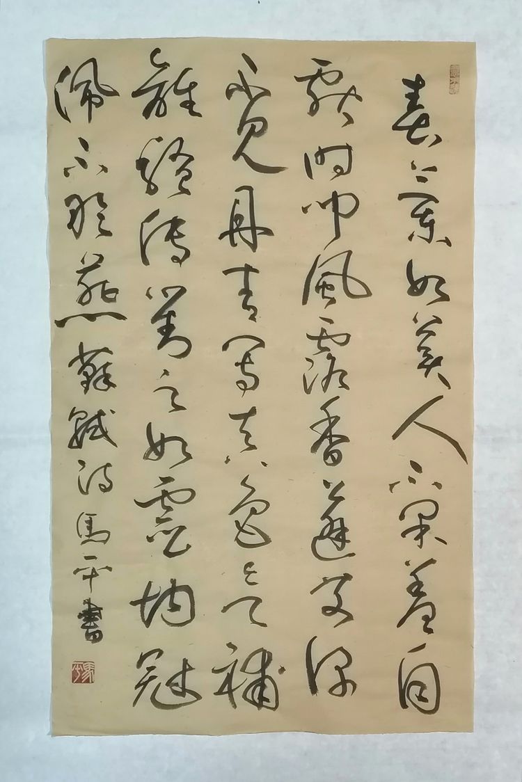 马平61迎春行草作品欣赏