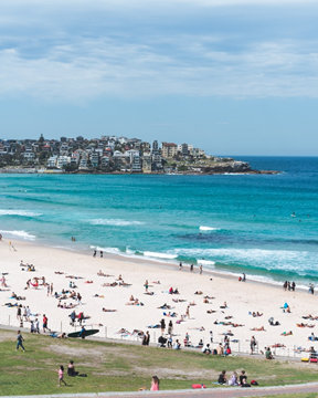 澳洲留学：寒冬里瑟瑟发抖？来感受一下悉尼的阳光吧！