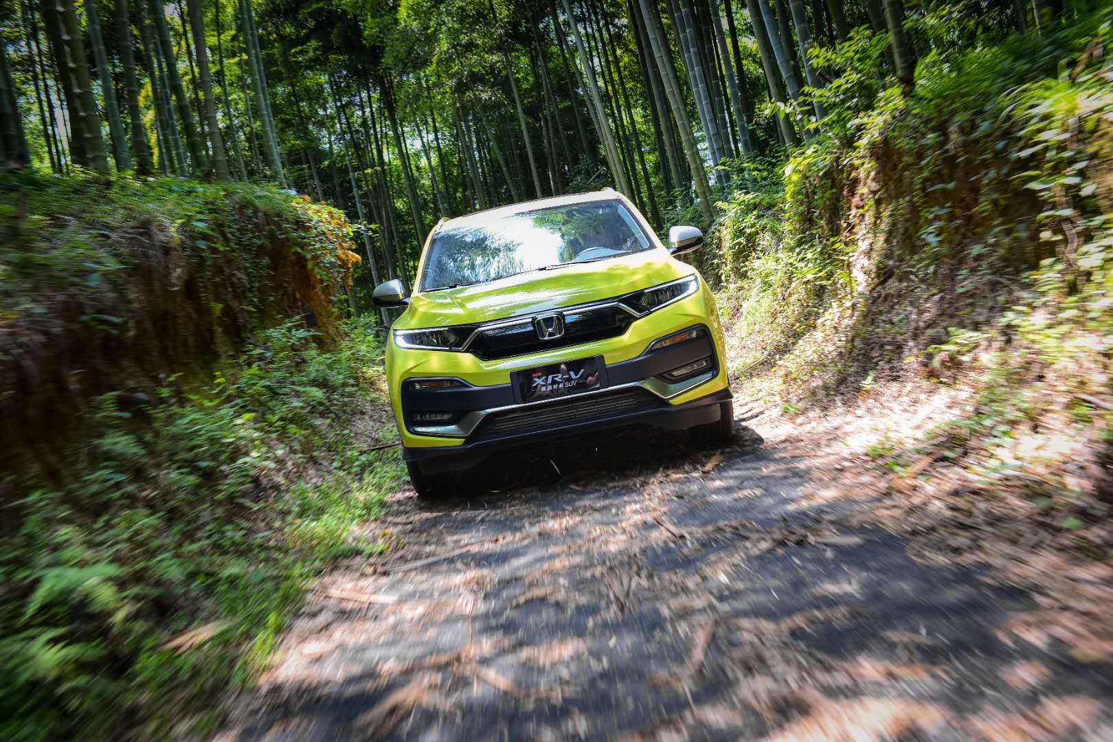 全新xrv女生心动之选