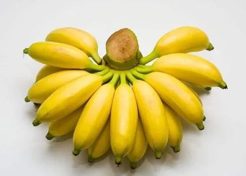 香蕉、芭蕉、米蕉，你吃過哪幾種蕉？ 熱愛美食 第5张