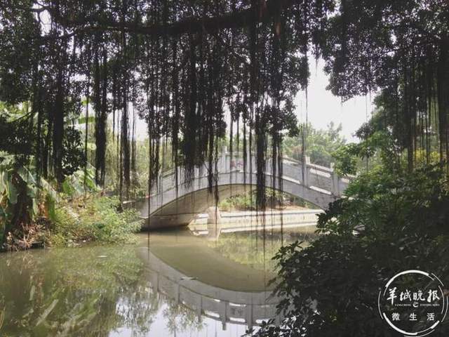 村庄人口门楼_村庄门楼牌图片大全(3)
