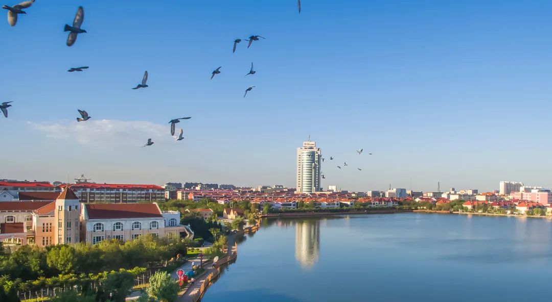 打卡4大海,5大海岛,57个海滨城市……这条沿海公路要火!