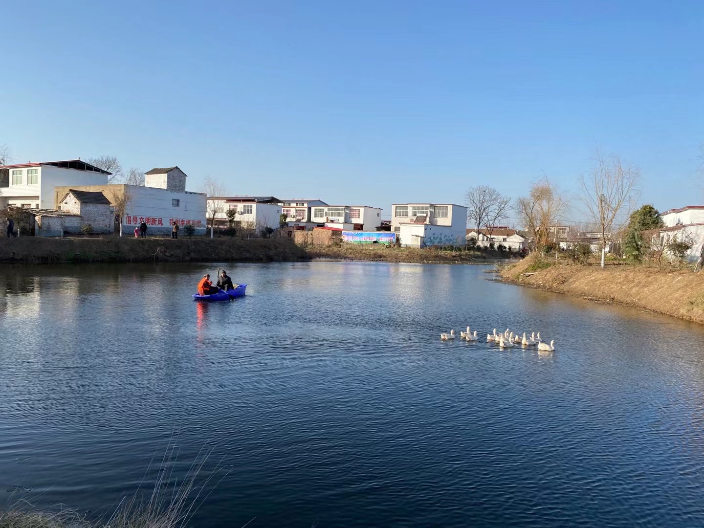 汝南县王岗镇打造"四美乡村"样板田_建设