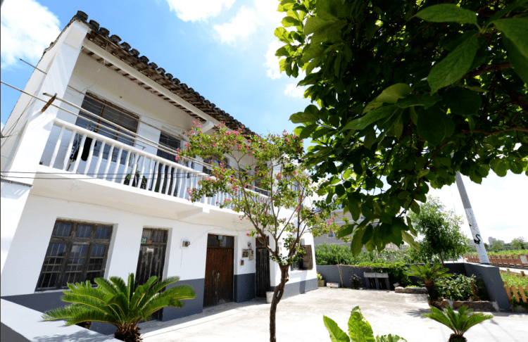 建文体园/增公交线/无障碍改造……这镇民生实事项目"羡煞人"