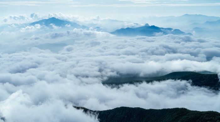 2021年中国家电业:海外订单继续涨,本土市场稳复苏-家电圈官网