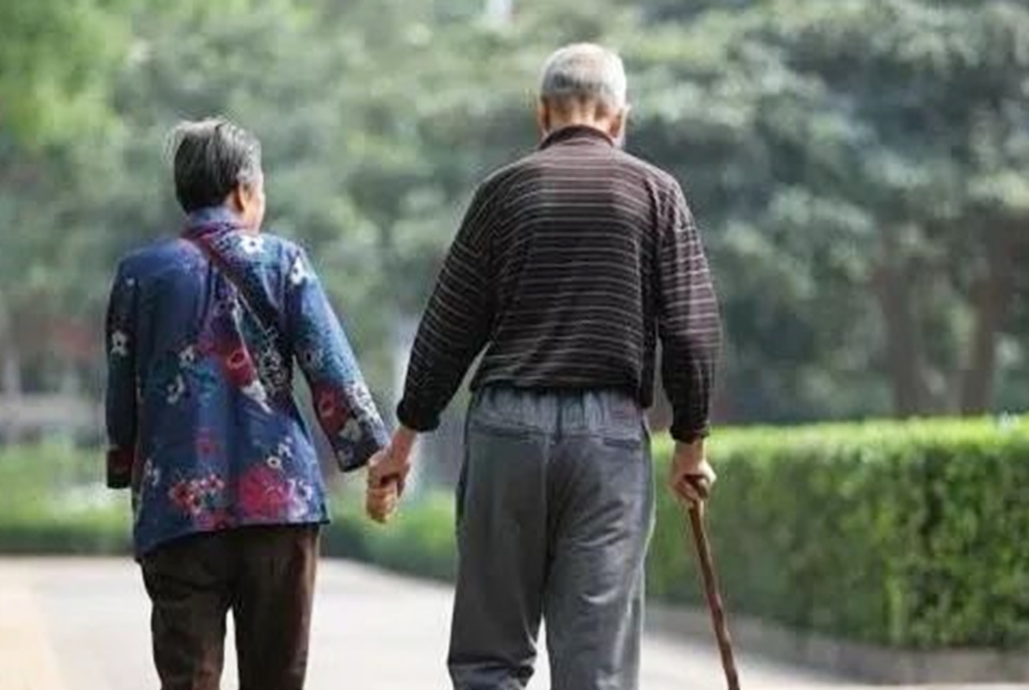 老人在家享福其实是假孝顺比啃老还可悲年轻子女沾沾自喜