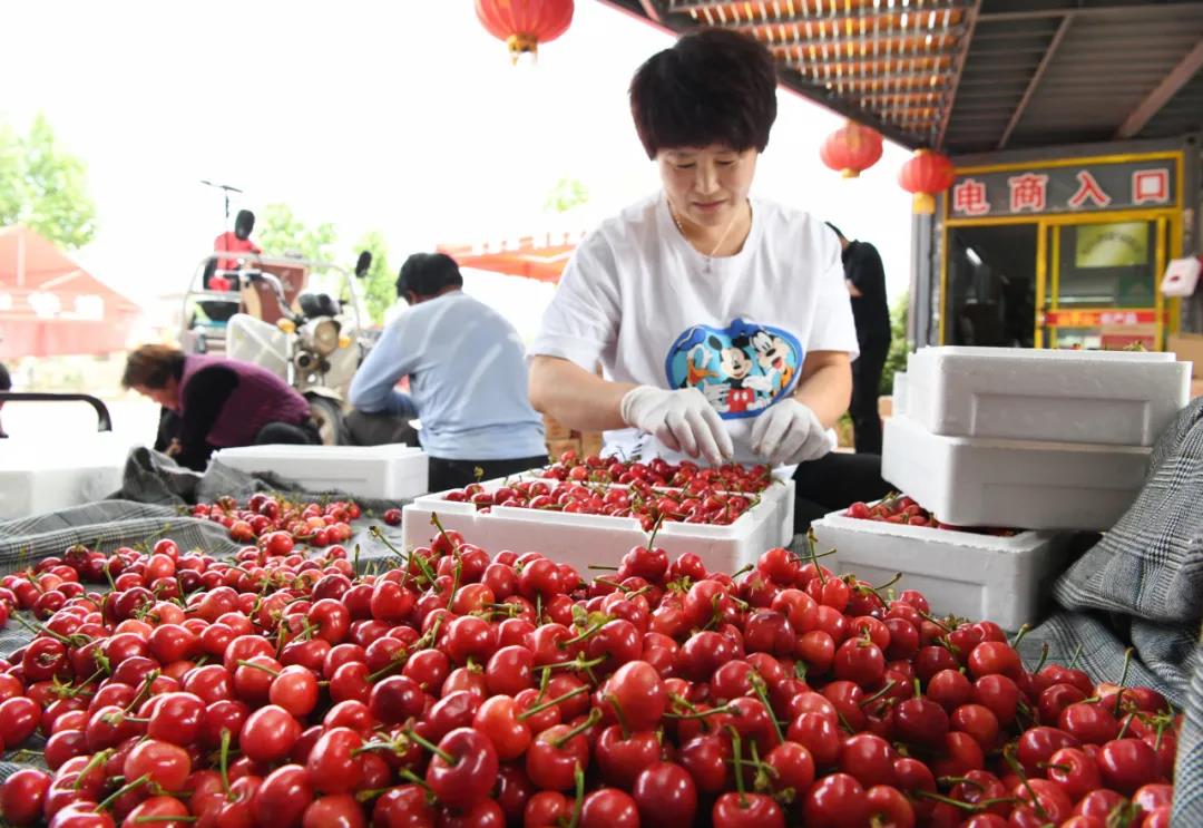 回顧過去 展望未來——山亭區經濟社會發展紀實