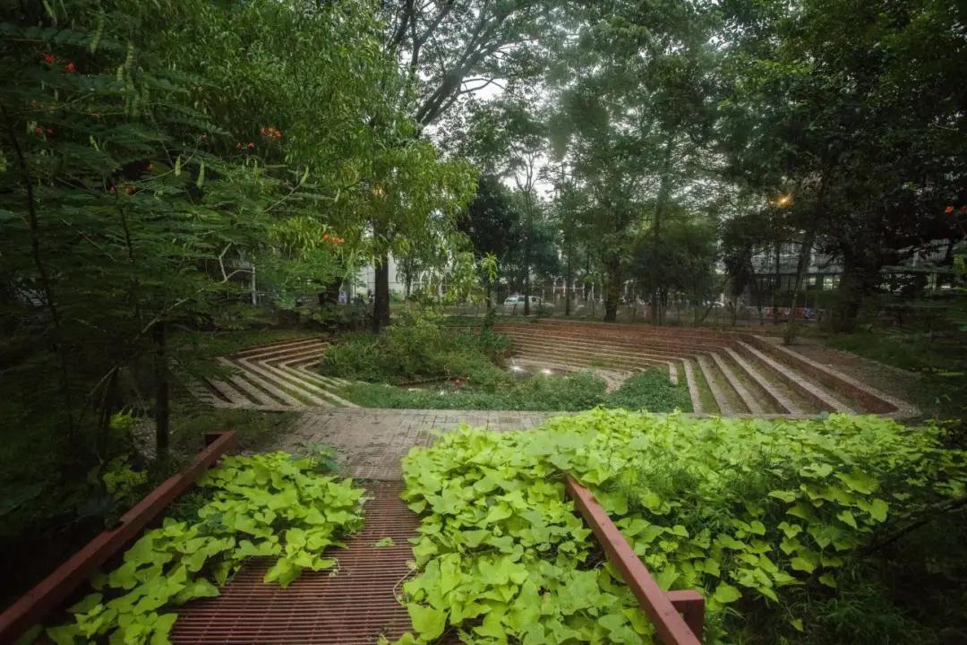 自然质朴魅力 | 达卡大学聚会空间改造