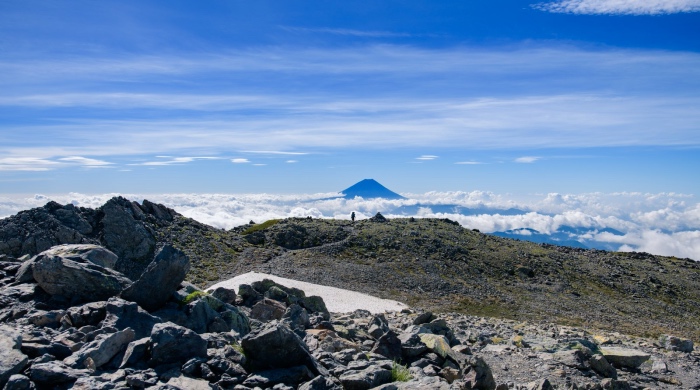 美的集团方洪波的这番内部讲话,为何引发企业界的热议?-家电圈官网