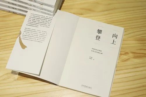 IP赋能华耐家居品牌的新机遇