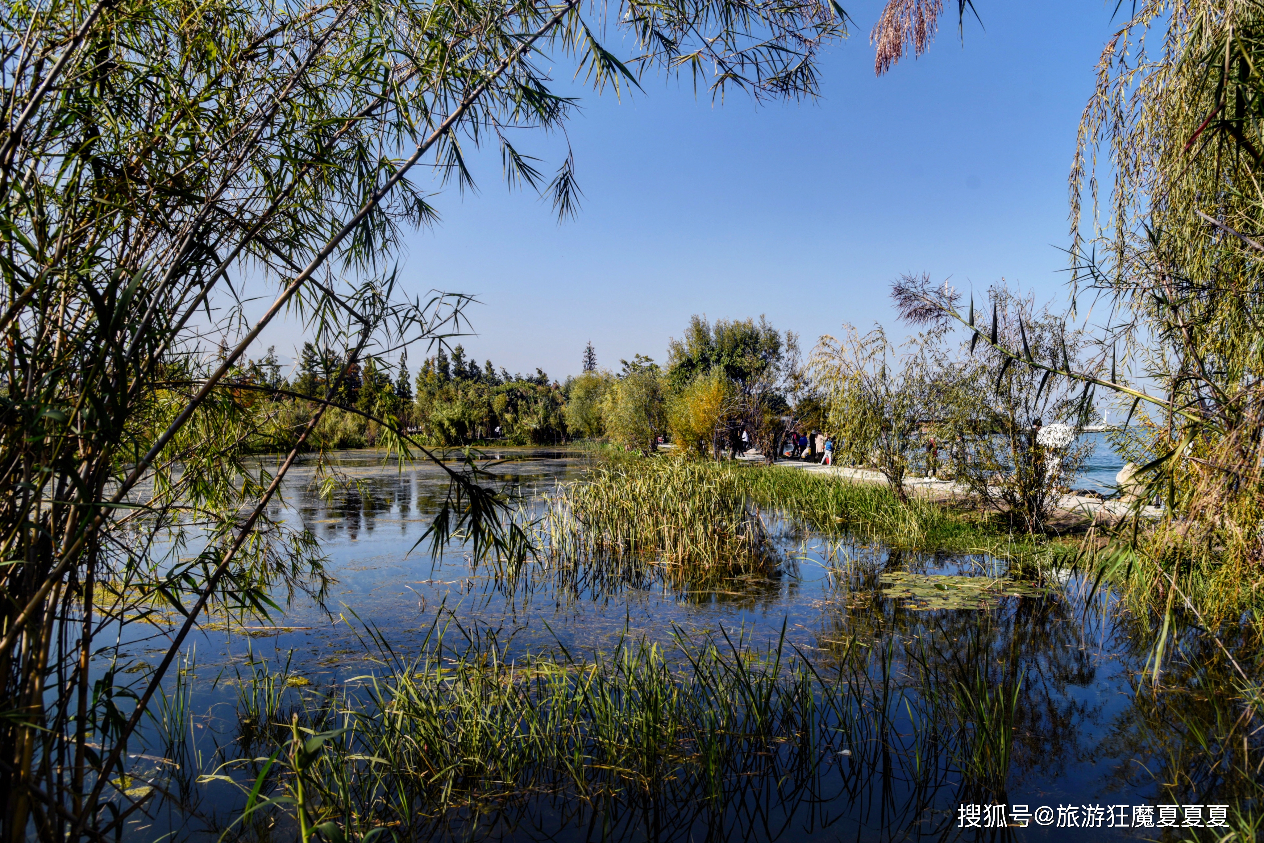 洱海人气最旺的白族村落，已改建成湿地公园，供奉的神你认识吗？