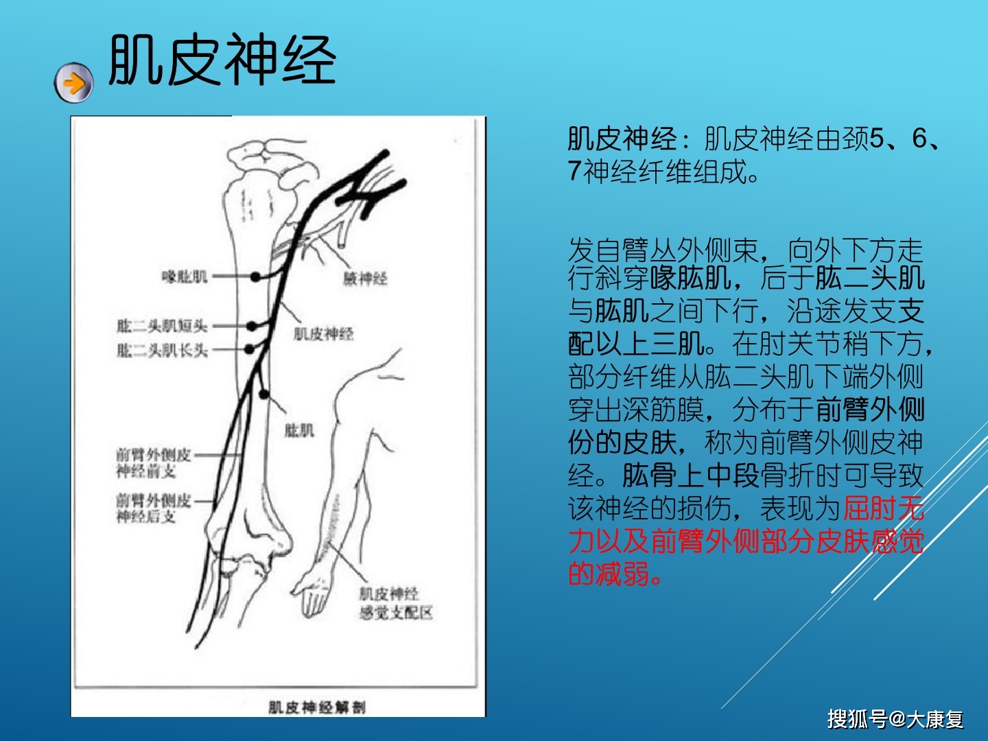 臂丛神经损伤