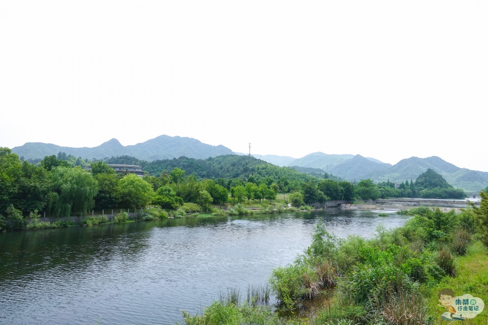 国内最能展现“竹之美”的城市 可谓是物尽其用 堪称中国第一竹乡