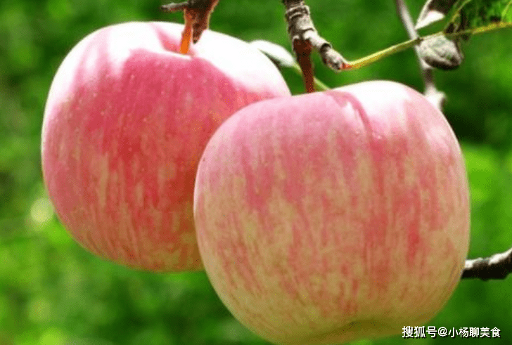 苹果能降血压么 2fad28b5d0ba465abe8edb208f42972b.png