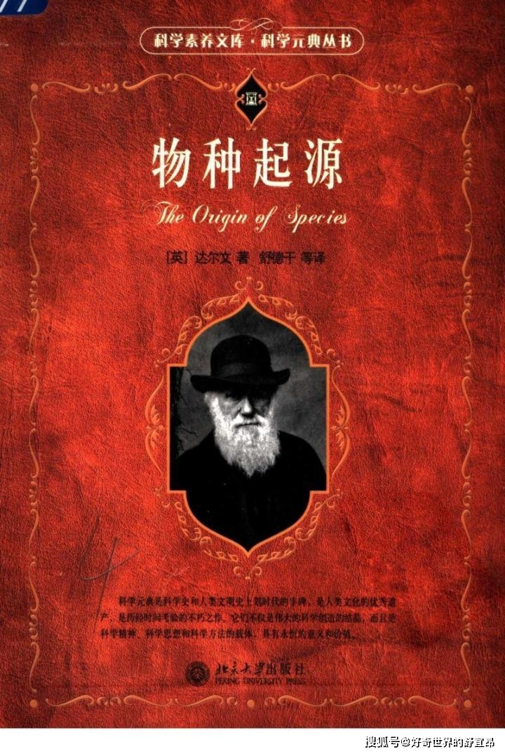 人是怎么来的 演化论 神创论还是外星人论 一篇文章说清楚 人类