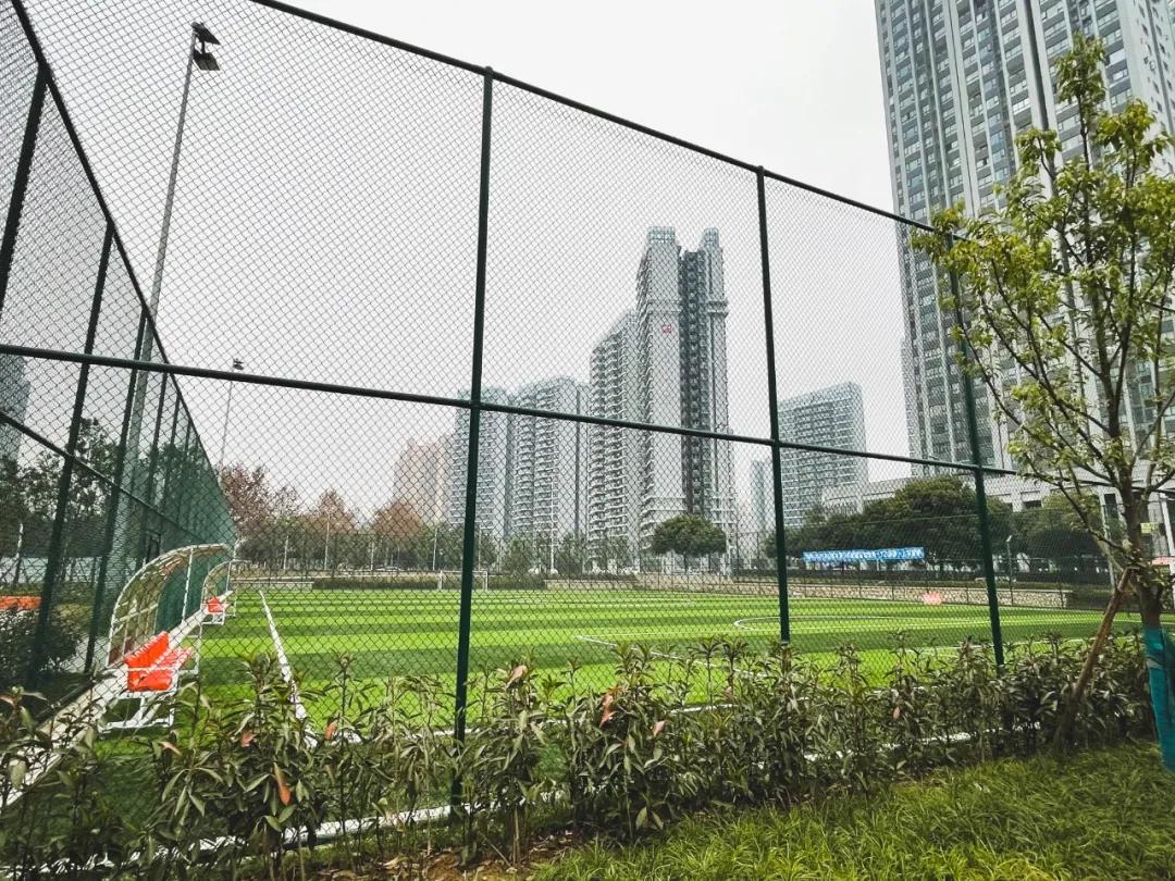 团妈采访了住在三圣乡片区的朋友,这位朋友说,自己倒是经常去市政公园