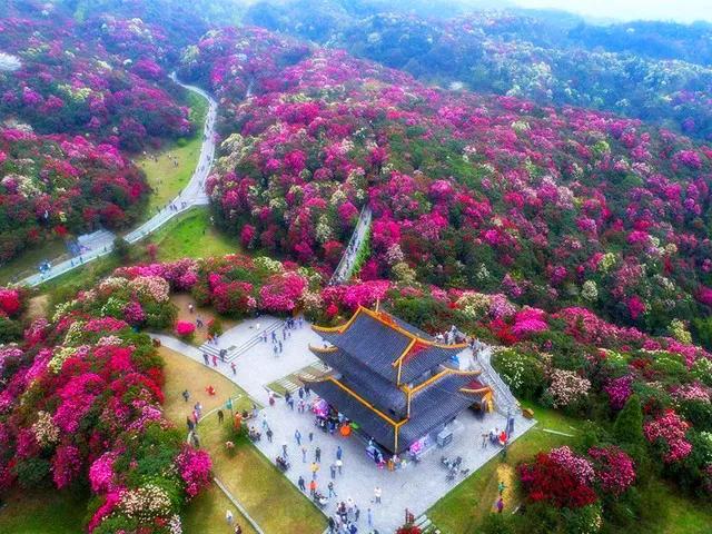 等一个人，陪我去毕节