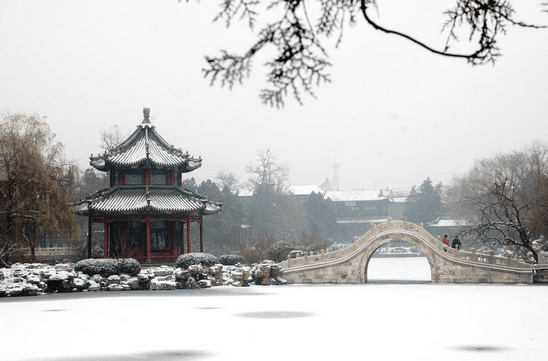 迎新春,云游古城(1):当初雪遇上千年古城保定——古莲花池