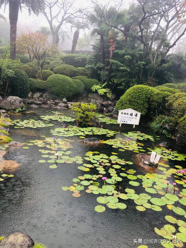 日本温泉数量和涌量第一的大分县别府温泉乡巡礼 只能看不能泡 地狱谷
