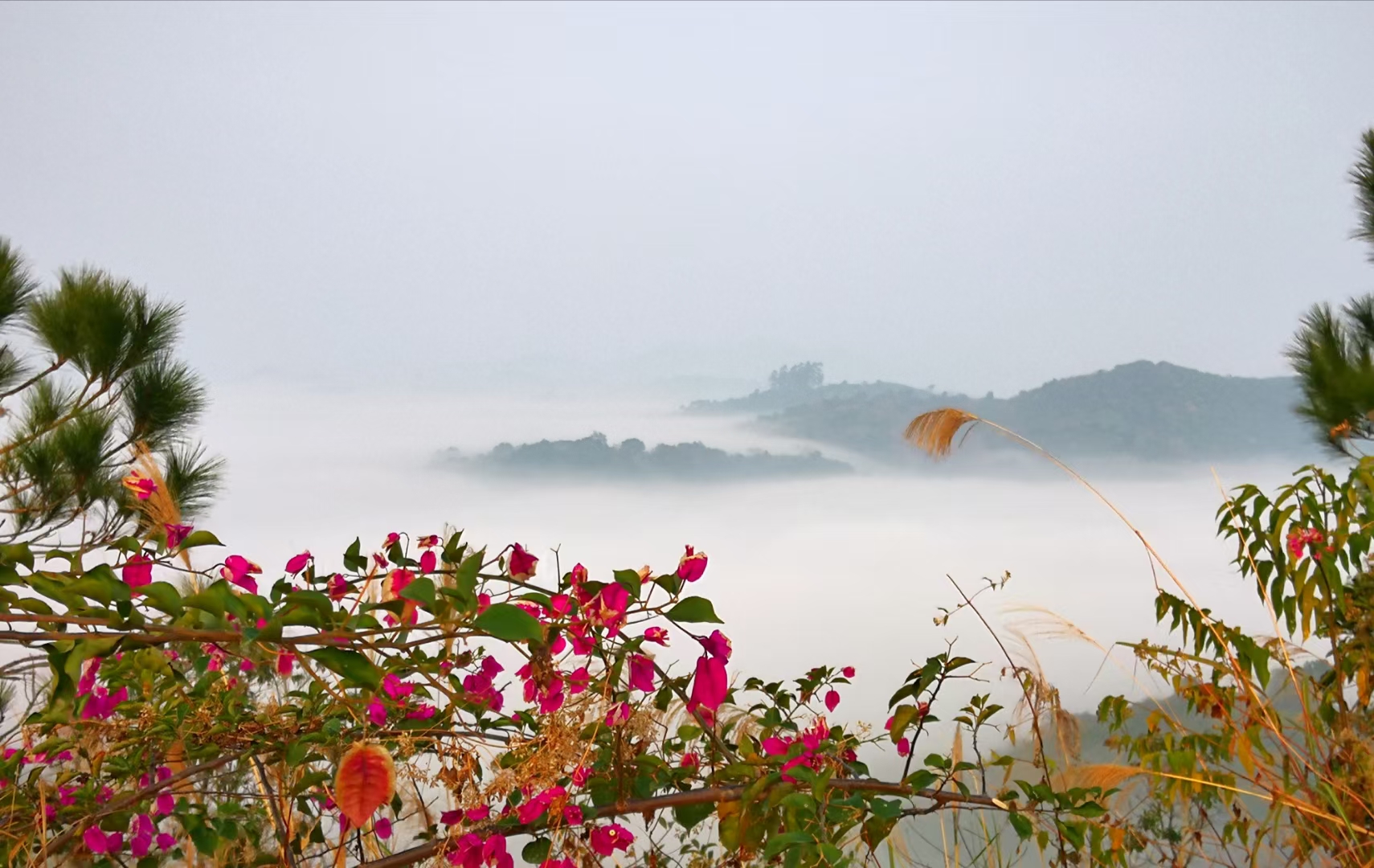 粤龙山清风园，阐述一个摄影师的精神世界