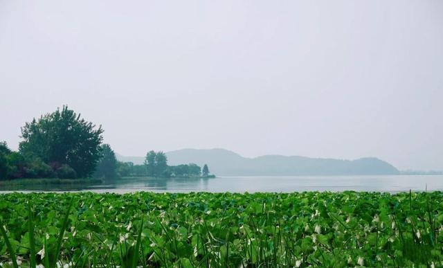 武汉的一座森林公园，山清水秀是避暑胜地，目前还免门票