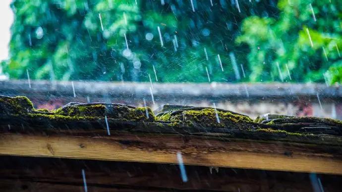 雨水習俗——春雨孕育的感恩節氣