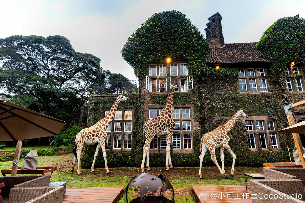 肯尼亚首都内罗毕超酷酒店!与长颈鹿一起共享美食