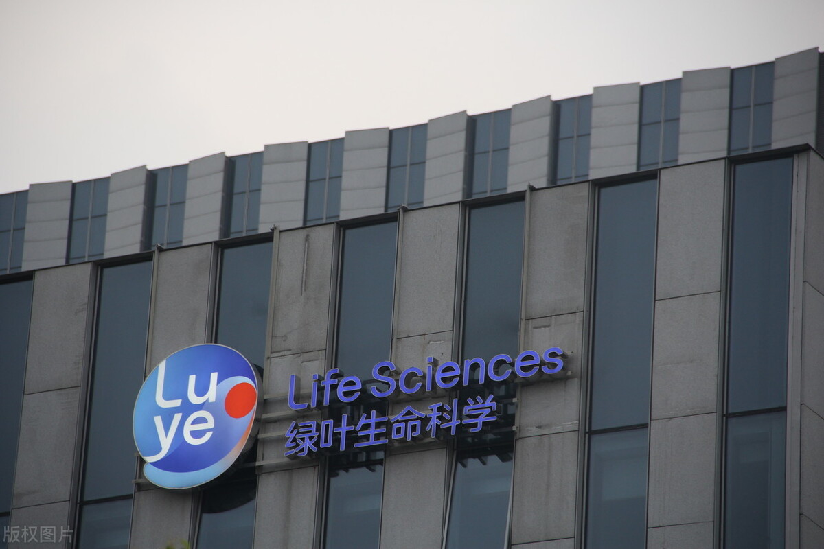 第二年,绿叶制药在新加坡上市.