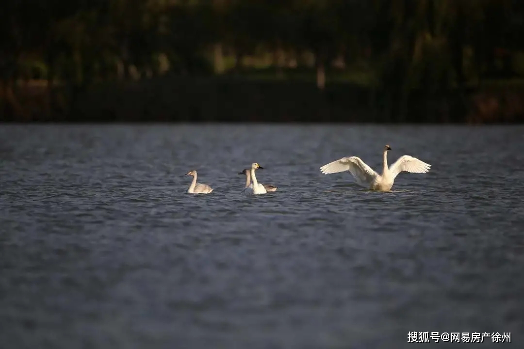 快了！徐州国家级湿地公园+1