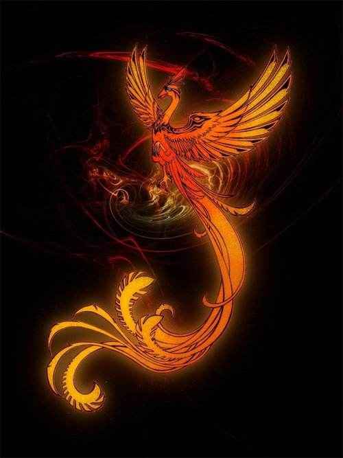 考古证实凤凰就是鸡鸡在古代并不比凤凰差甚至地位高过凤凰