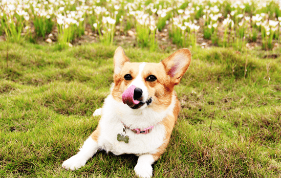 41acd46dfb284f19a042d3a7a1e00d5e.png