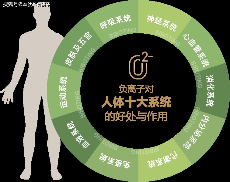 一文帮你读懂:负离子是什么