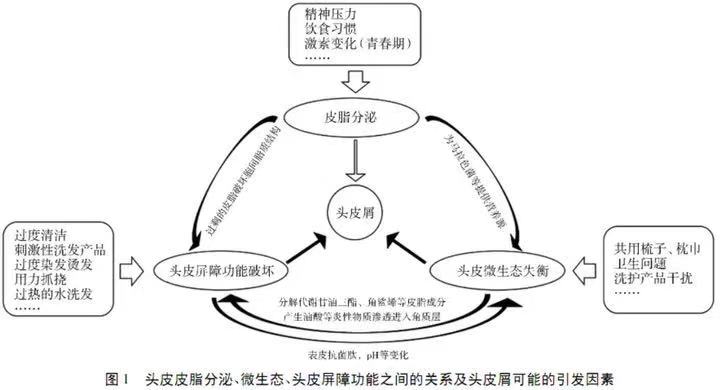 洗髮水選擇不當,損害頭皮屏障,是會造成頭屑增多的.