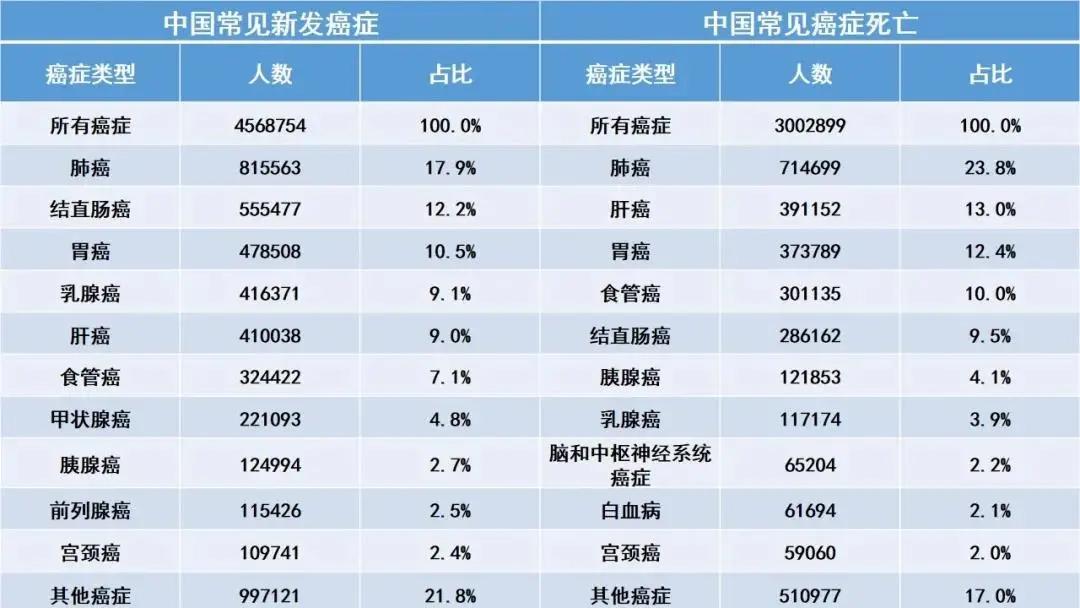 2020死亡人口_2020人口普查(2)