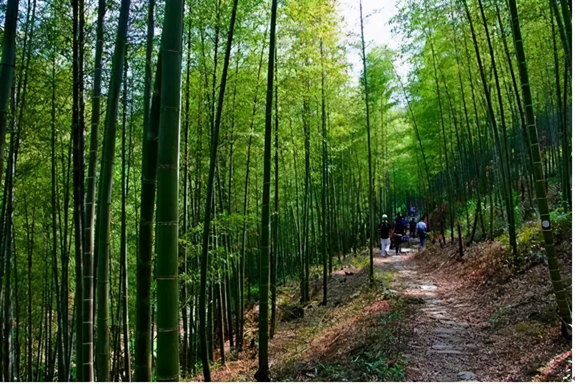 春节将至，五峰山年味十足